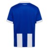 Officiële Voetbalshirt Hertha BSC Thuis 2024-25 - Heren